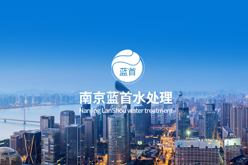 塔河建站-南京蓝首水处理设备有限公司