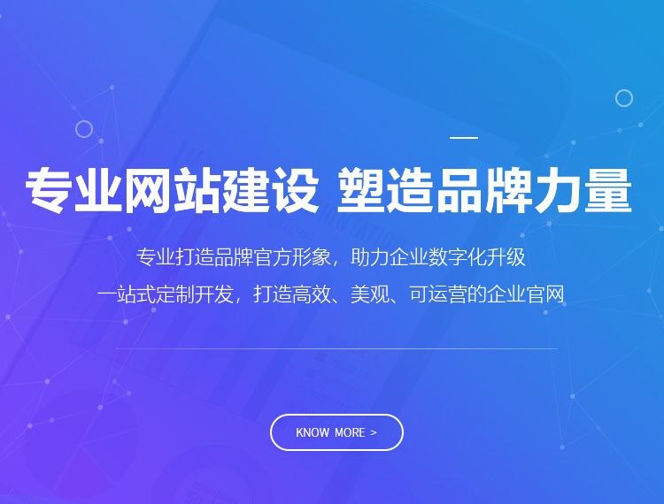 漠河建站-专业网站建设 塑造品牌力量